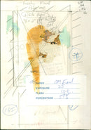 William Whitelaw - Vintage Photograph