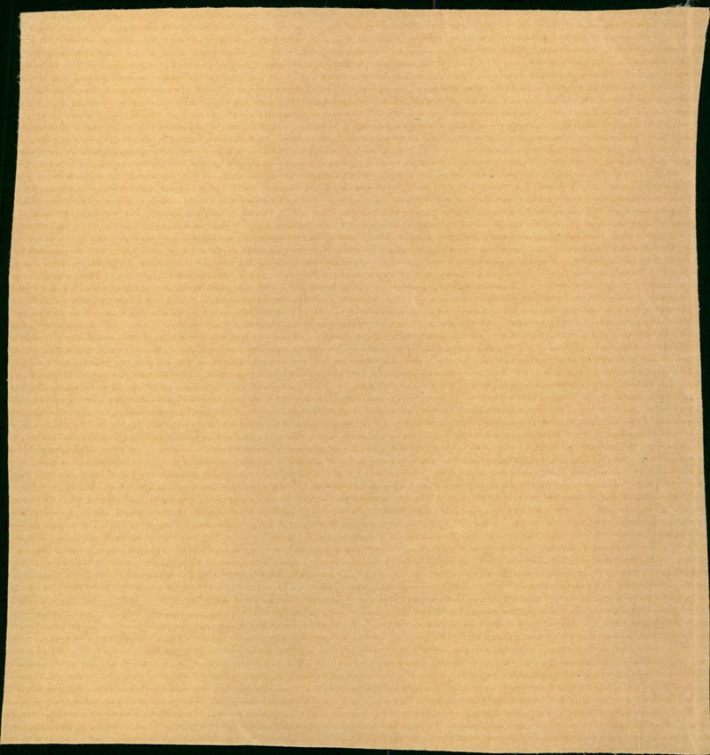 Williams Esther - Vintage Photograph