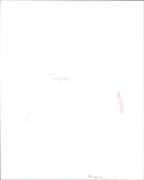 Toyah - Vintage Photograph