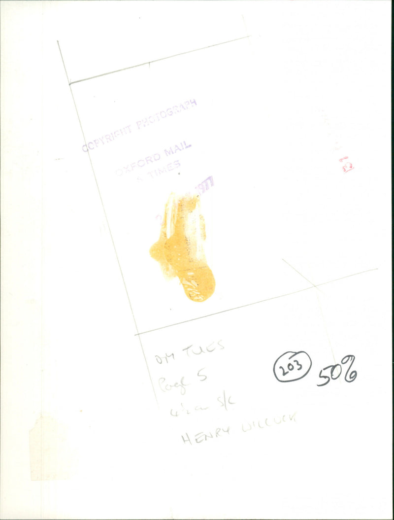 Henry Wilcox - Vintage Photograph