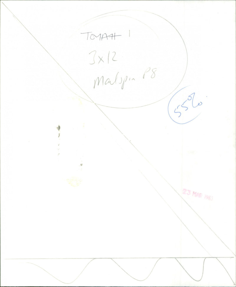 Toyah - Vintage Photograph