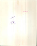 Mrs. Shirley Williams - Vintage Photograph