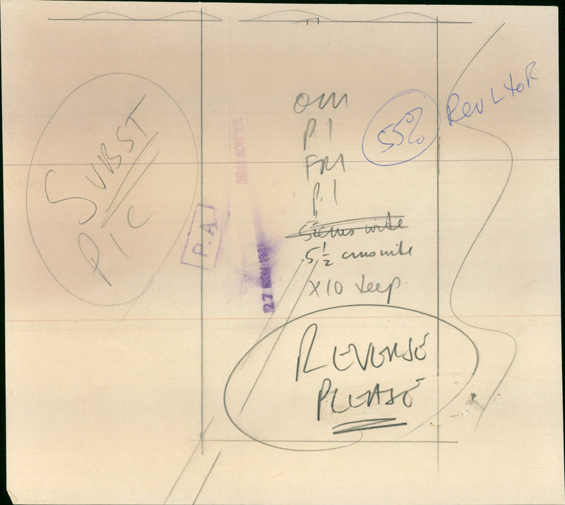 Mrs. Shirley Williams - Vintage Photograph