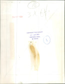 Mrs. Shirley Williams - Vintage Photograph