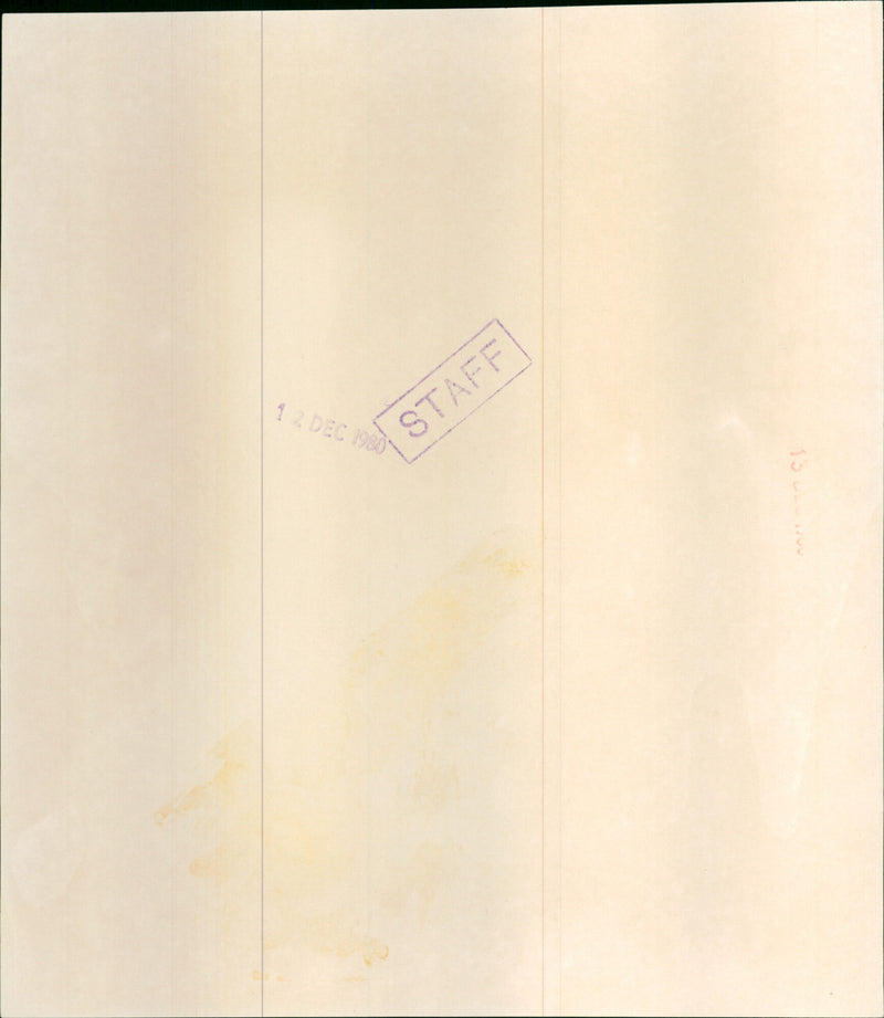 Mrs. Shirley Williams - Vintage Photograph