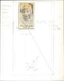 Shirley Williams - Vintage Photograph