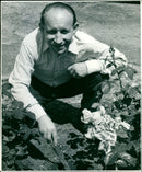 Jim Wiggins - Vintage Photograph