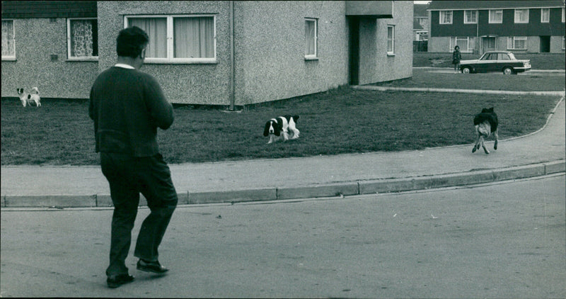 Cecil Whittington - Vintage Photograph