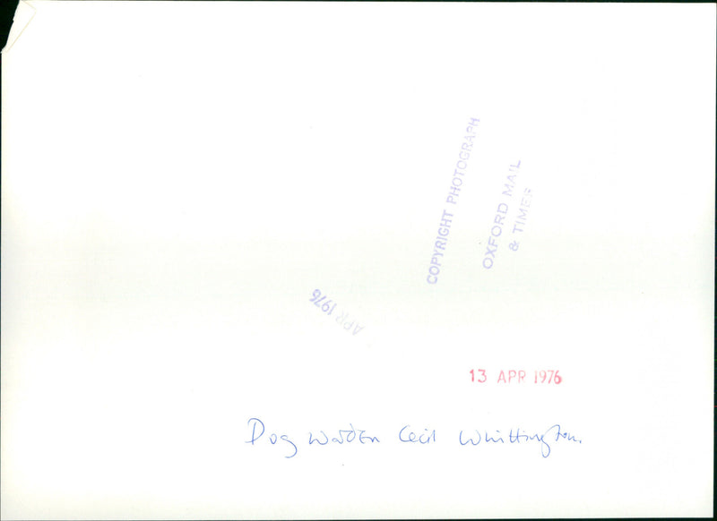 Cecil Whittington - Vintage Photograph