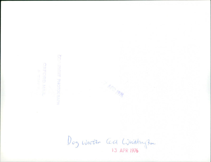 Cecil Whittington - Vintage Photograph