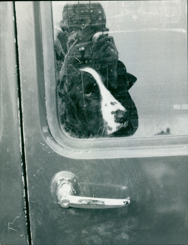 Cecil Whittington - Vintage Photograph