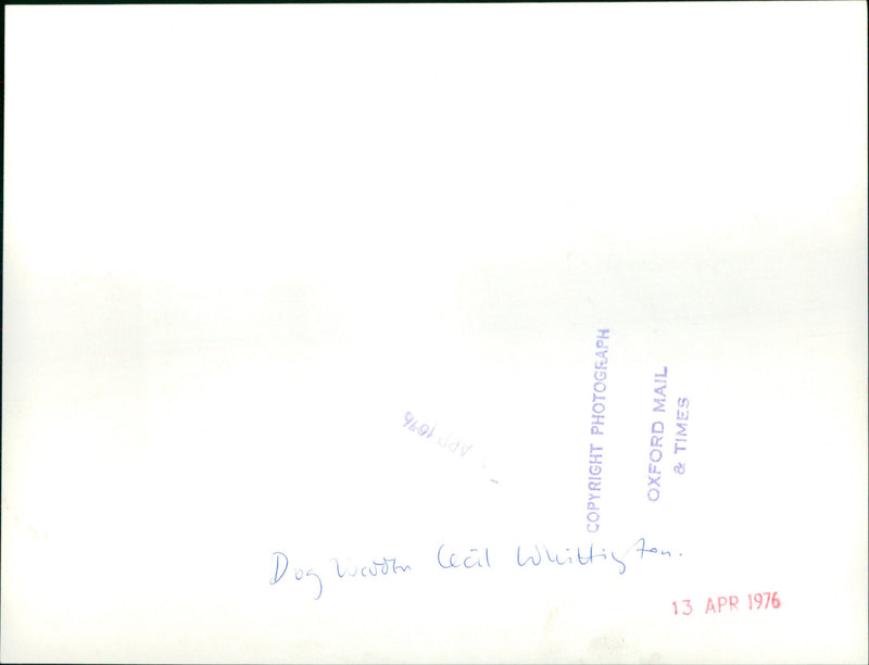 Cecil Whittington - Vintage Photograph