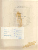 Charlie Williams - Vintage Photograph