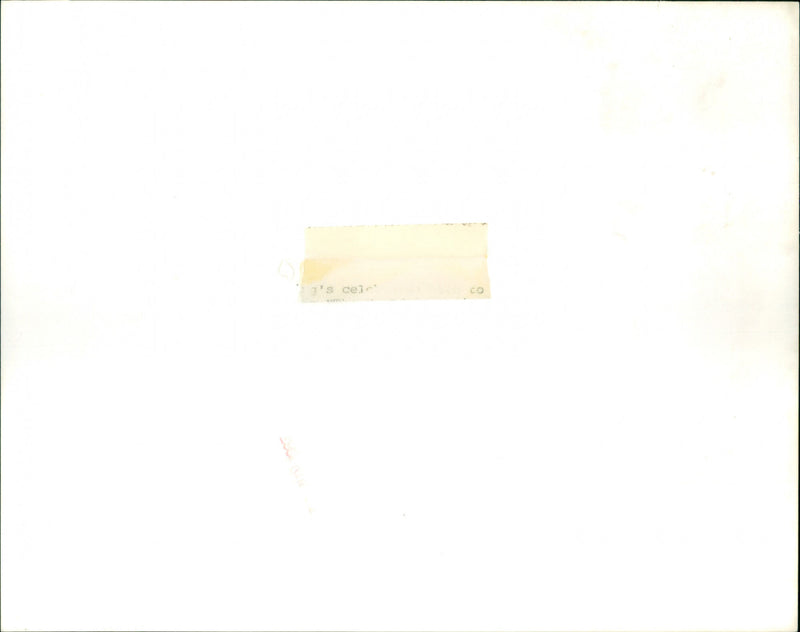 Robin Williams - Vintage Photograph