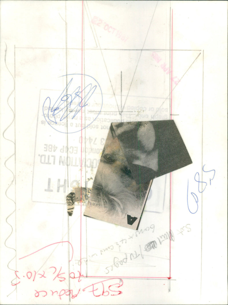 Kim Wilde - Vintage Photograph