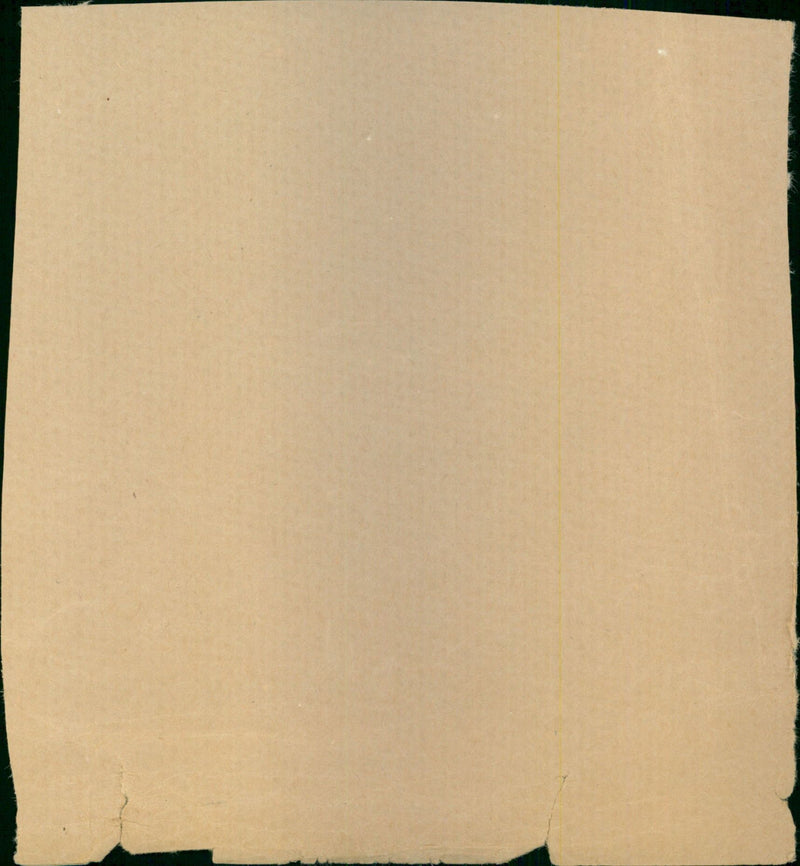 Wilde Kim - Vintage Photograph