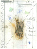 Derek Dougan - Vintage Photograph