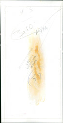 Spiers and Son - Vintage Photograph