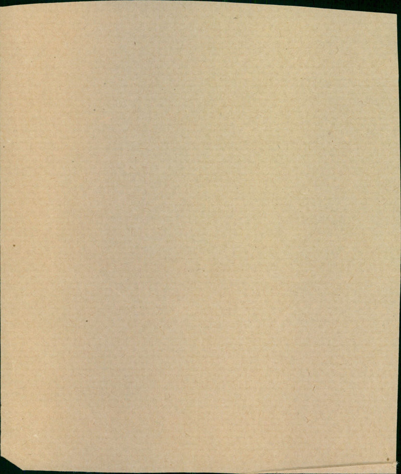 Wilkinson Tessa - Vintage Photograph