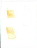 Kenneth Williams - Vintage Photograph