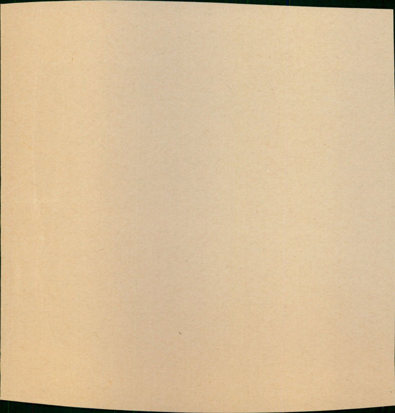 Wilkinson Mr. M - Vintage Photograph