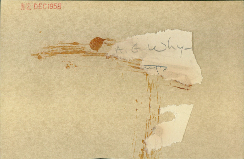 Rev A. G Whye - Vintage Photograph