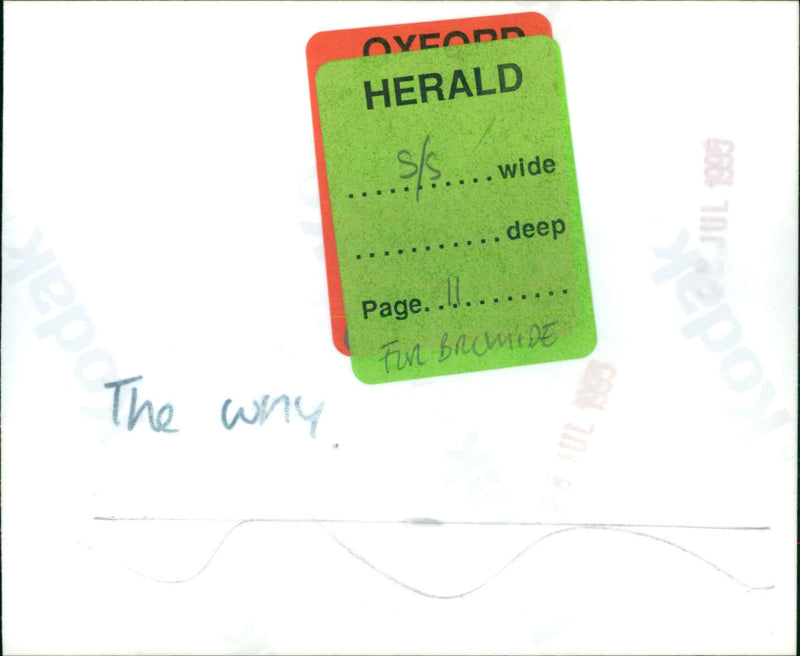 The Why - Vintage Photograph