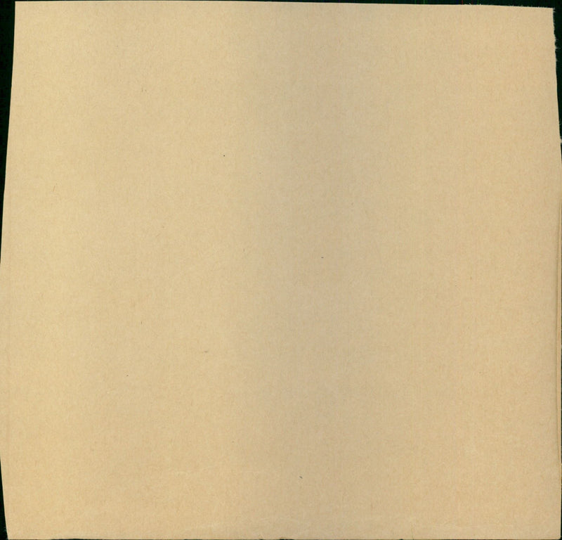 Mrs Anne Whitty, Toni - Vintage Photograph