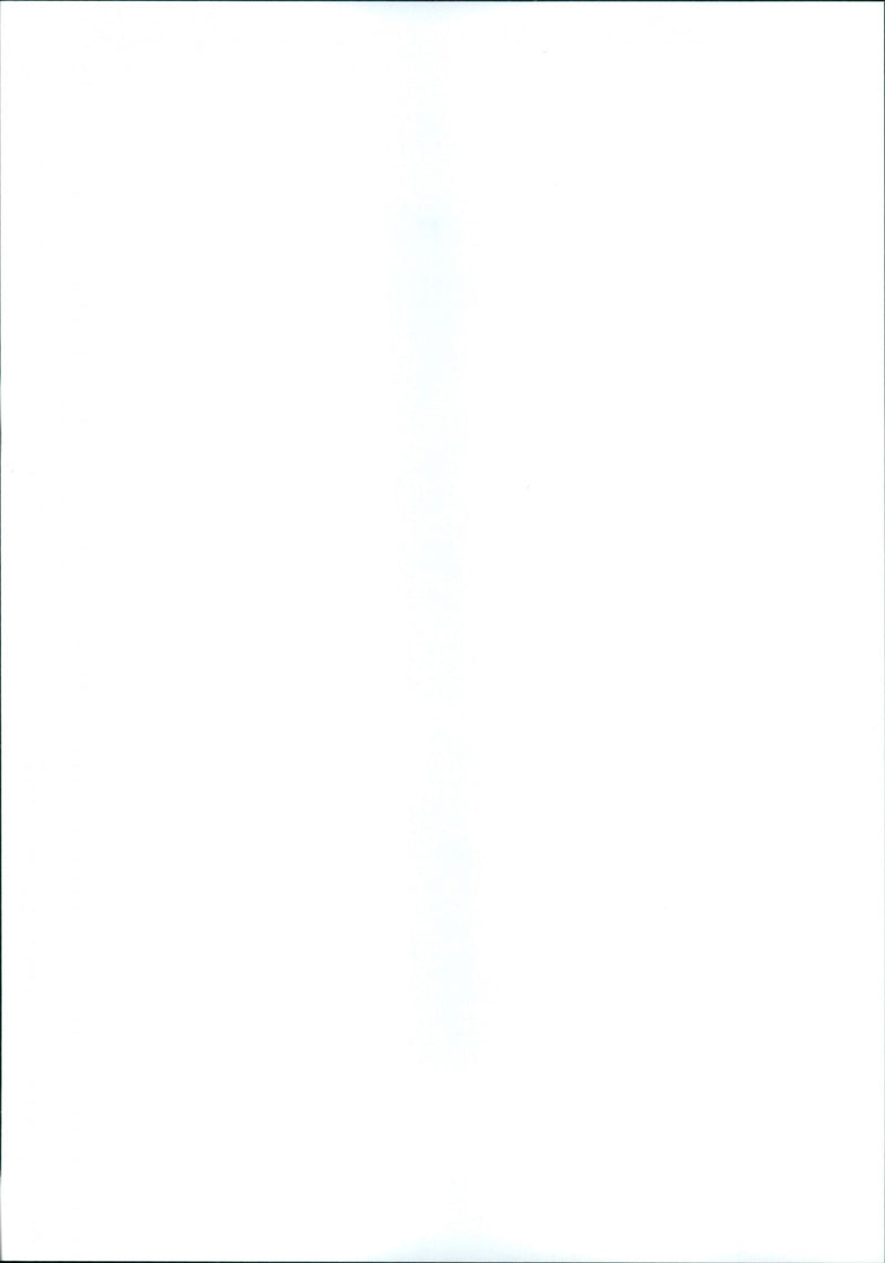 The sugar creeks trio - Vintage Photograph