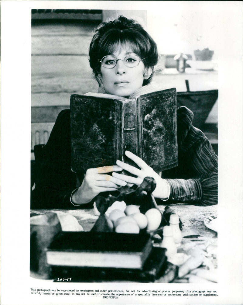 Barbra Streisand - Vintage Photograph