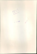 Prince William - Vintage Photograph