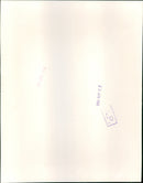 Prince William - Vintage Photograph