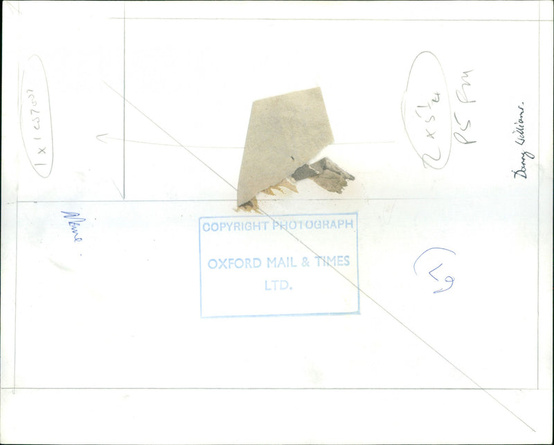 Danny Williams - Vintage Photograph