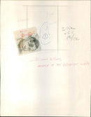 David Williams - Vintage Photograph