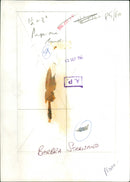 Barbra Streisand - Vintage Photograph