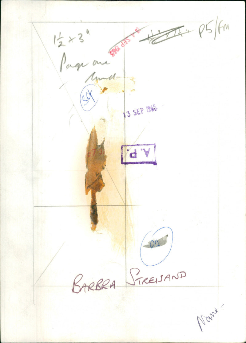 Barbra Streisand - Vintage Photograph