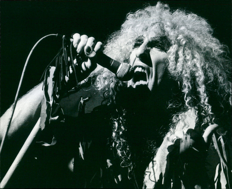 Twisted Sister - Vintage Photograph