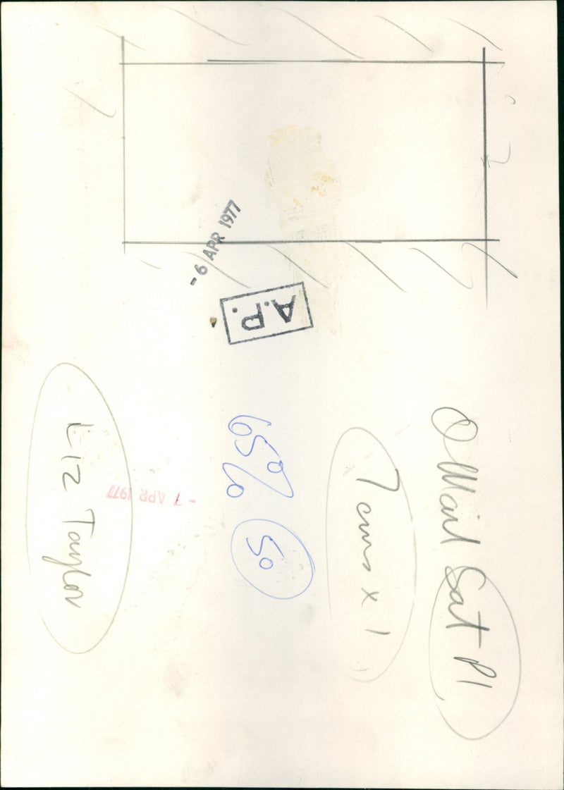 John and Elizabeth Warner - Vintage Photograph