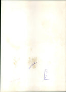 Franz-Josef Strauss - Vintage Photograph