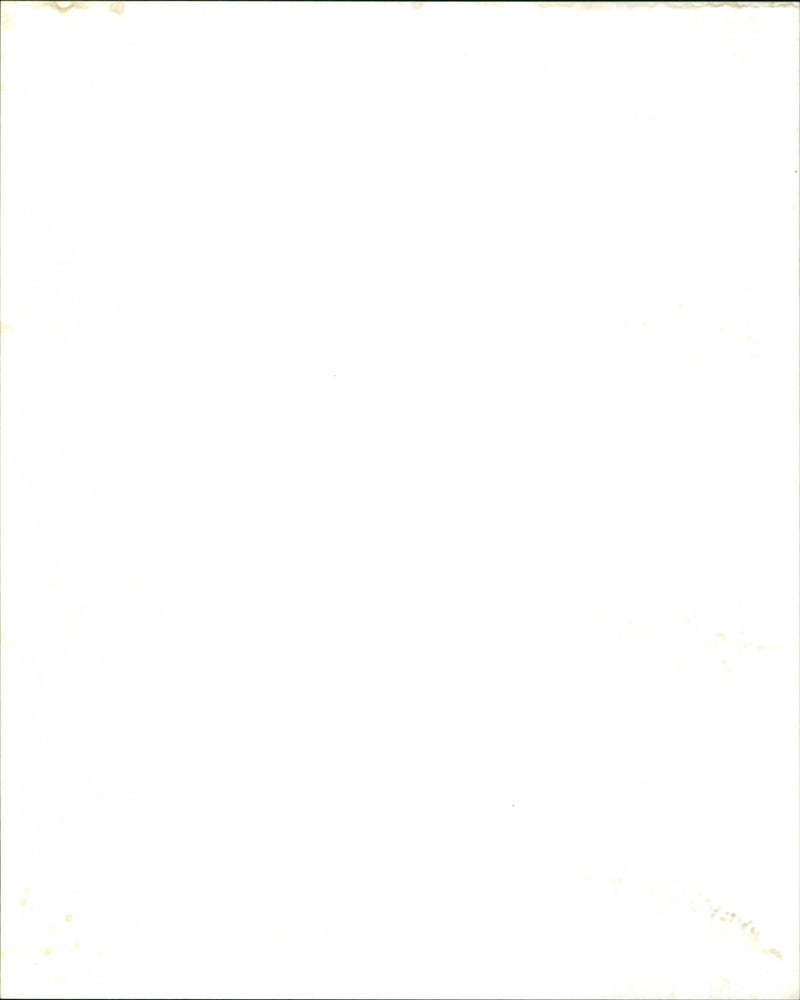 Stretch Princess - Vintage Photograph