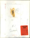 John Stonehouse - Vintage Photograph