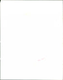 The Sugarcubes - Vintage Photograph