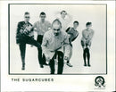 The Sugarcubes - Vintage Photograph
