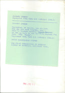 Ingrid Bergman - Vintage Photograph