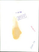 Ingrid Bergman - Vintage Photograph