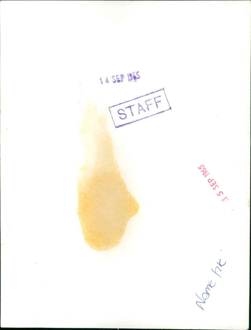 Ingrid Bergman - Vintage Photograph