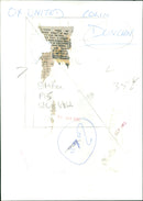 Bruce Rowe, a coloured player. - Vintage Photograph