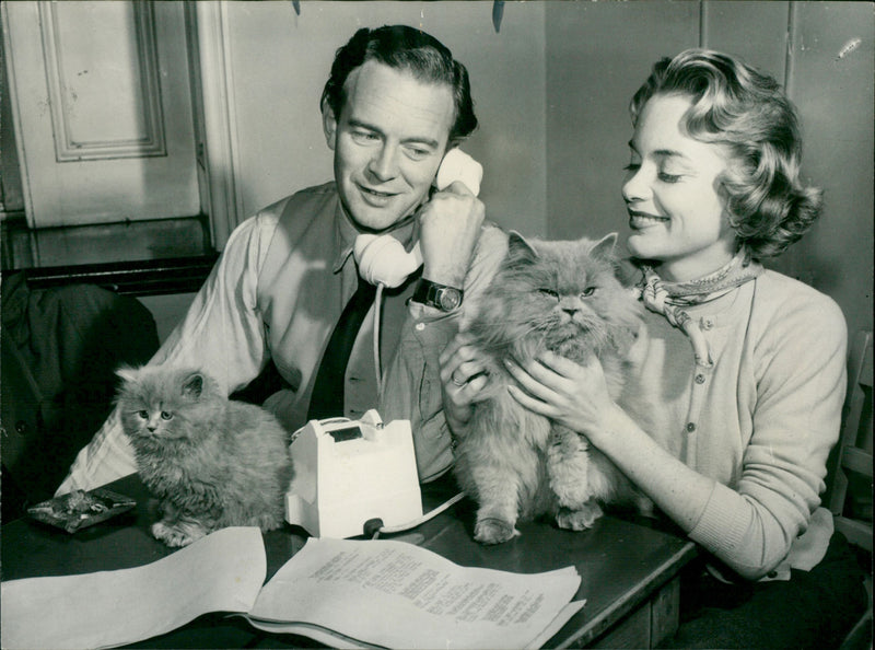 Tony Britton, - Vintage Photograph