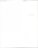 Kate Bush - Vintage Photograph