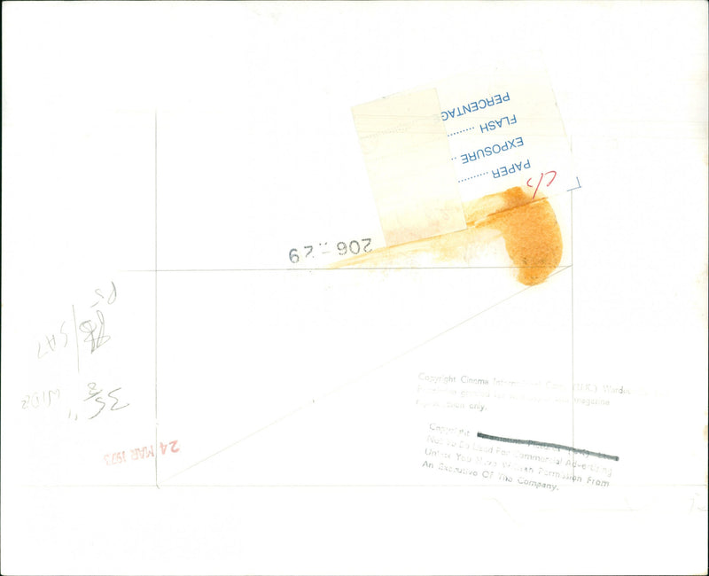 Charles Bronson - Vintage Photograph